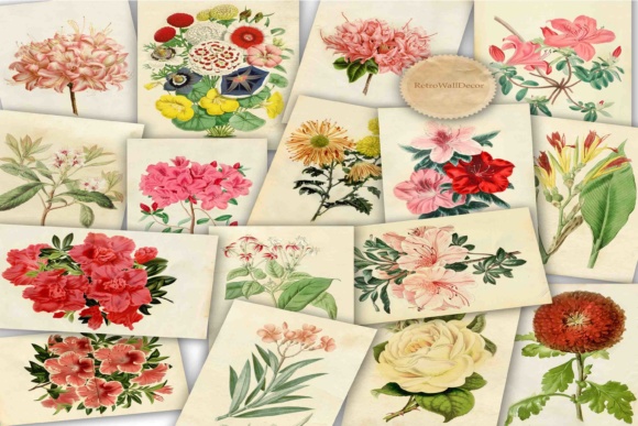 Integrating a Floral Illustration Bundle into Professional Creative Workflows